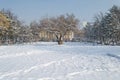 The square and trees in the city park are covered with snow Royalty Free Stock Photo