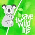 A square vector image with a text Save the wild life and a koala. Environment protection illustration. Forest and bush protection