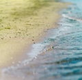 Square vibrant cross process sand beach with tidal waves Royalty Free Stock Photo