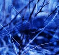 Square vivid blueish branches abstraction