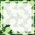 Square white frame and rectangle label with your copy space on citrus lime background Royalty Free Stock Photo