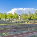 Square White puffy clouds Community garden with wood planks walls at Daybreak in South Jordan, Utah