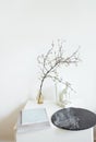 Square white wooden table with acrylic round painting, notebooks, glass transparent vase and tree branch, marble hound dog statue