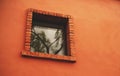 Square window with reflection of tree branches Royalty Free Stock Photo