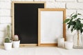 Square wooden photo frame and cactus plants on the table Royalty Free Stock Photo