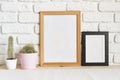 Square wooden photo frame and cactus plants on the table Royalty Free Stock Photo