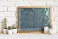 Square wooden photo frame and cactus plants on the table Royalty Free Stock Photo