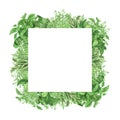 Square Wreath with fresh herbs basil, rosemary, coriander,watercress. Watercolor frame isolated. Illustration for design