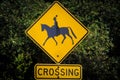 Square yellow Horse crossing sign.