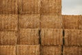 Squared bal of hay in field of Val d`Orcia, Tuscany Royalty Free Stock Photo