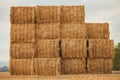 Squared bal of hay in field of Val d`Orcia, Tuscany, Italy Royalty Free Stock Photo