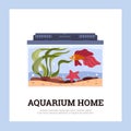Squared banner about aquarium home flat style, vector illustration