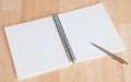 Squared paper loose-leaf note sheet and pen Royalty Free Stock Photo