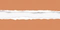 Squared ripped horizontal orange paper for text or message are on white background. Vector illustration