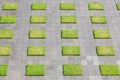 Squares of grass and concrete - modern outdoor pavement.