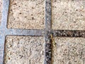 Squares in a metal grid lying on concrete, pebbles, earth. The old sidewalk or wall. A pattern of metal rods. Background