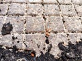 Squares in a metal grid lying on concrete, pebbles, earth. The old sidewalk or wall. A pattern of metal rods. Background