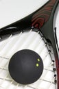 Squash ball on a racket