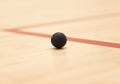 Squash ball Royalty Free Stock Photo
