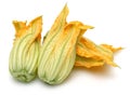 Squash Blossoms on white background