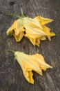 Squash blossoms or pumpkin flowers