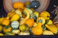 Squash in a bucket Royalty Free Stock Photo