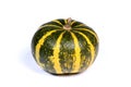 Coloquinte, squash, cucurbitaceae, pumpkin, on white background