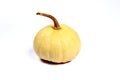 Coloquinte, squash, cucurbitaceae, pumpkin, on white background