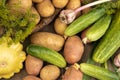 Squash, cucumbers, potatoes, dill, garlic lie on a brown wooden background