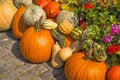 Squash for decoration in a street in Germany Royalty Free Stock Photo