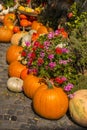 Squash for decoration in a street