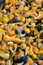 Squash at Detering Farm in Eugene Oregon