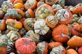 Squash at Detering Farm in Eugene Oregon