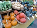 Squash at farmers market Royalty Free Stock Photo