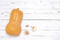 A squash gourd with garlic Royalty Free Stock Photo
