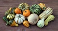 Squash gourd Royalty Free Stock Photo