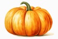 Squash orange harvest fall food yellow halloween background vegetable pumpkin october autumn