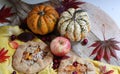 Squash galleta close up photo. Autumn still life Royalty Free Stock Photo