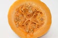 squash, pumpkin, or gourd, Cucurbita is a genus of herbaceous fruits in the gourd family, Cucurbitaceae, native to Andes and Royalty Free Stock Photo