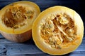 squash, pumpkin, or gourd, Cucurbita is a genus of herbaceous fruits in the gourd family, Cucurbitaceae, native to Andes and Royalty Free Stock Photo