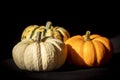 Squash pumpkins in different varieties