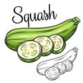 Squash vector drawing icon