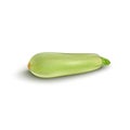 Squash vegetable marrow zucchini isolated on white Royalty Free Stock Photo