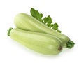 Squash vegetable marrow zucchini isolated on white background Royalty Free Stock Photo