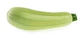 Squash vegetable marrow zucchini isolated on white background Royalty Free Stock Photo