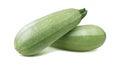 Squash vegetable marrow zucchini isolated 5 on white background Royalty Free Stock Photo