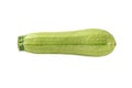 Squash vegetable marrow zucchini isolated on white background. zucchini courgette isolated Royalty Free Stock Photo