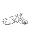 Squash vegetable outline icon