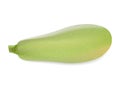 Squash on white background in realistic style. Vector illustration. Royalty Free Stock Photo