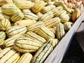 Squashes harvest in countryside farm. Royalty Free Stock Photo